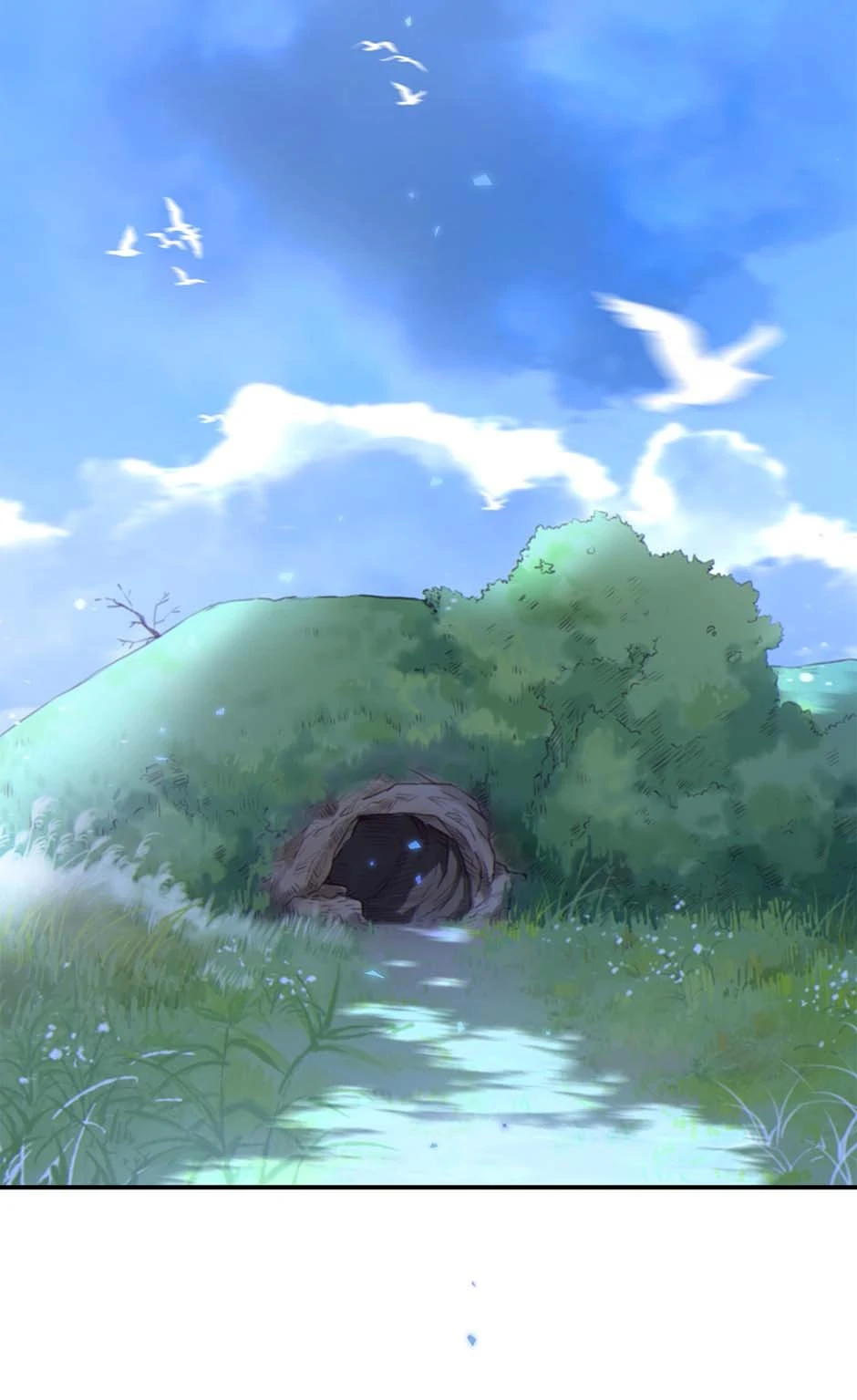 88478480 940 1535 79846