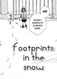 Footprints in the Snow